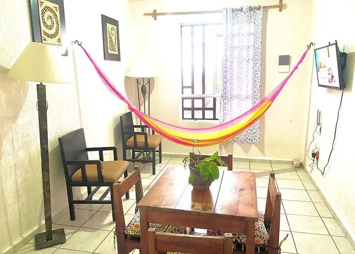 Vida Solo Hay Tulum